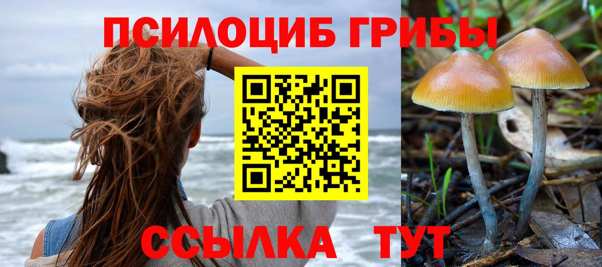Галлюциногенные грибы мицелий Курганинск