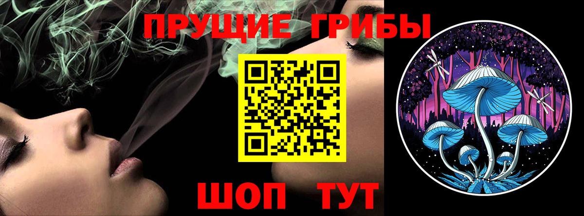 Галлюциногенные грибы прущие грибы  цена   Курганинск  Вход с VPN 